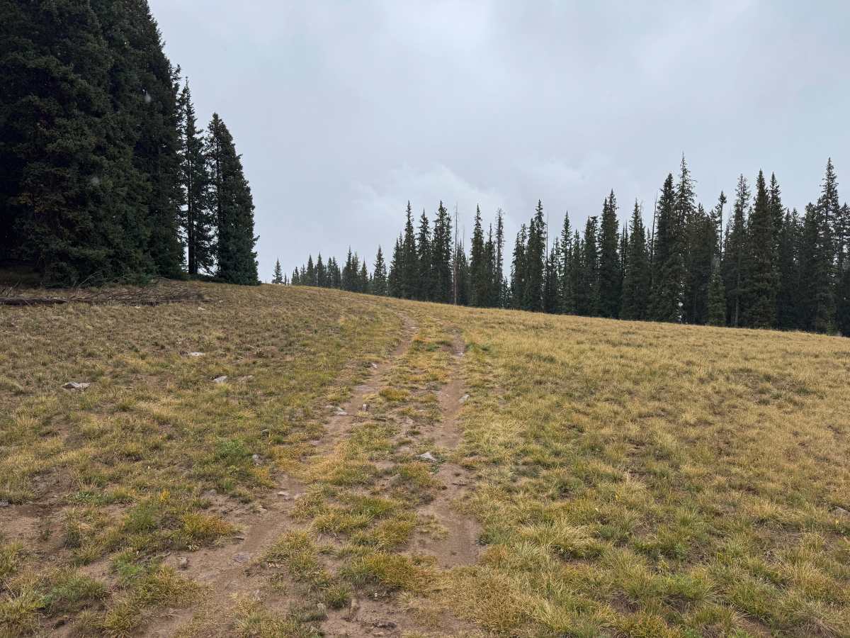 Porphyry Mountain Spur Road photo 4