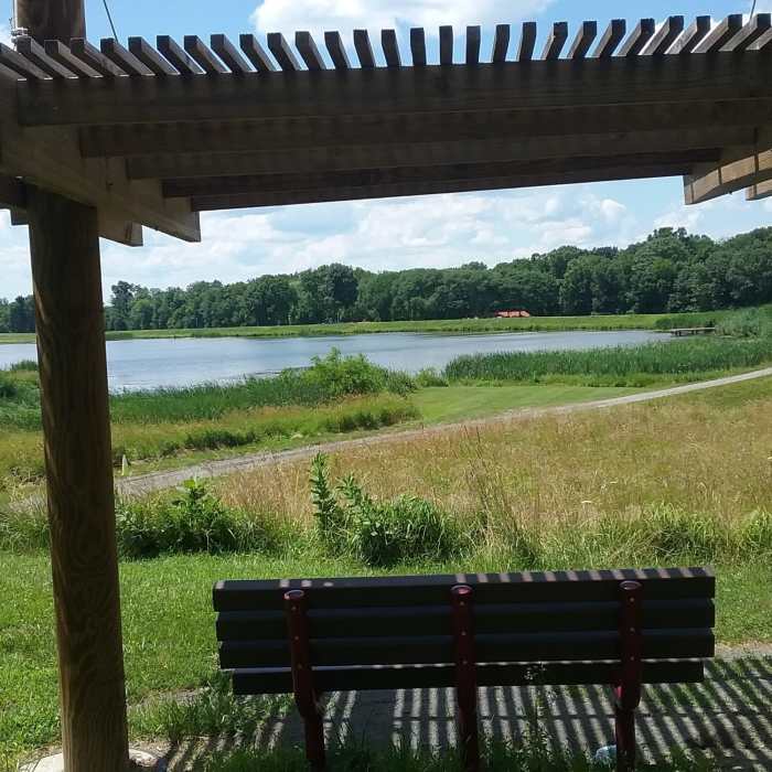 Near LHT: Mercer Meadows - Rosedale