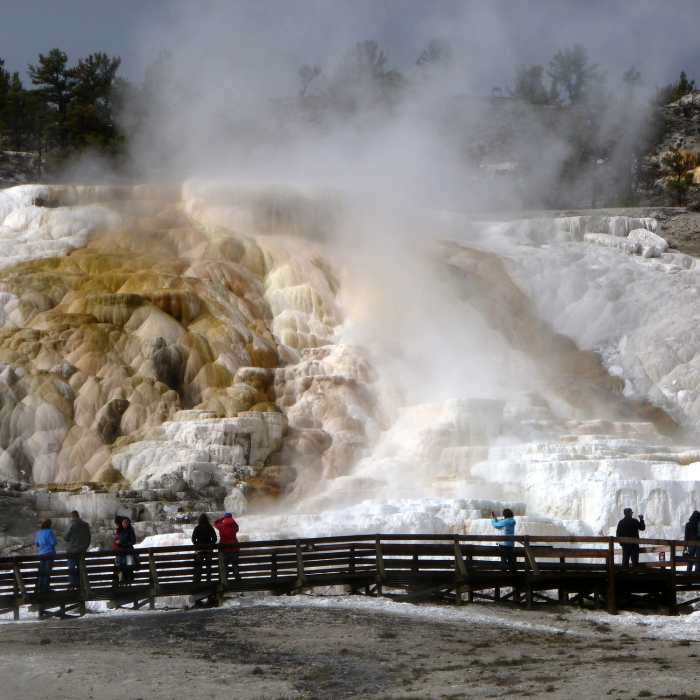 Mammoth Hot Springs. Near YCC Trail