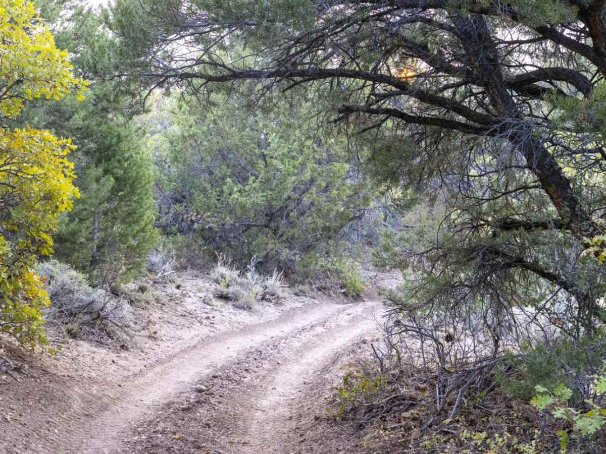Post Road Trail photo 6