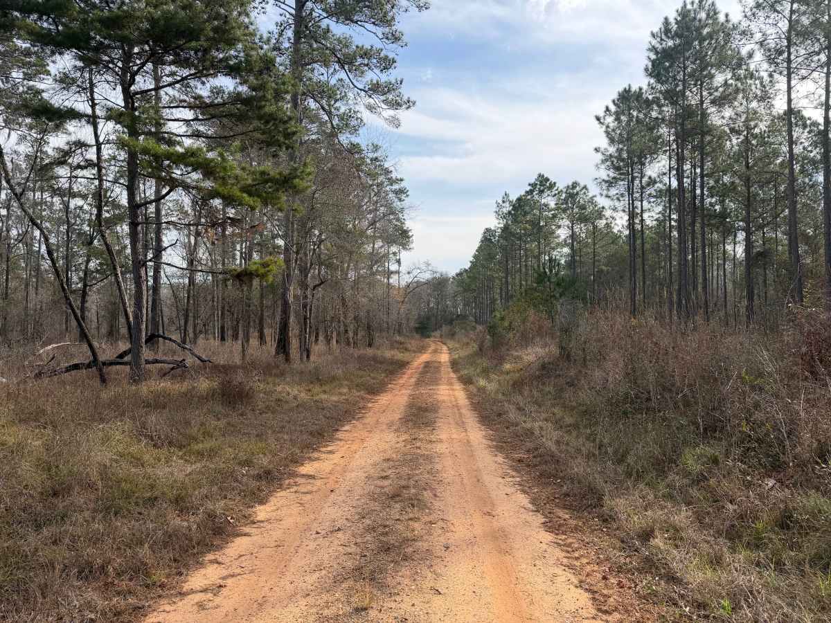 Flat Hole Loop photo 6