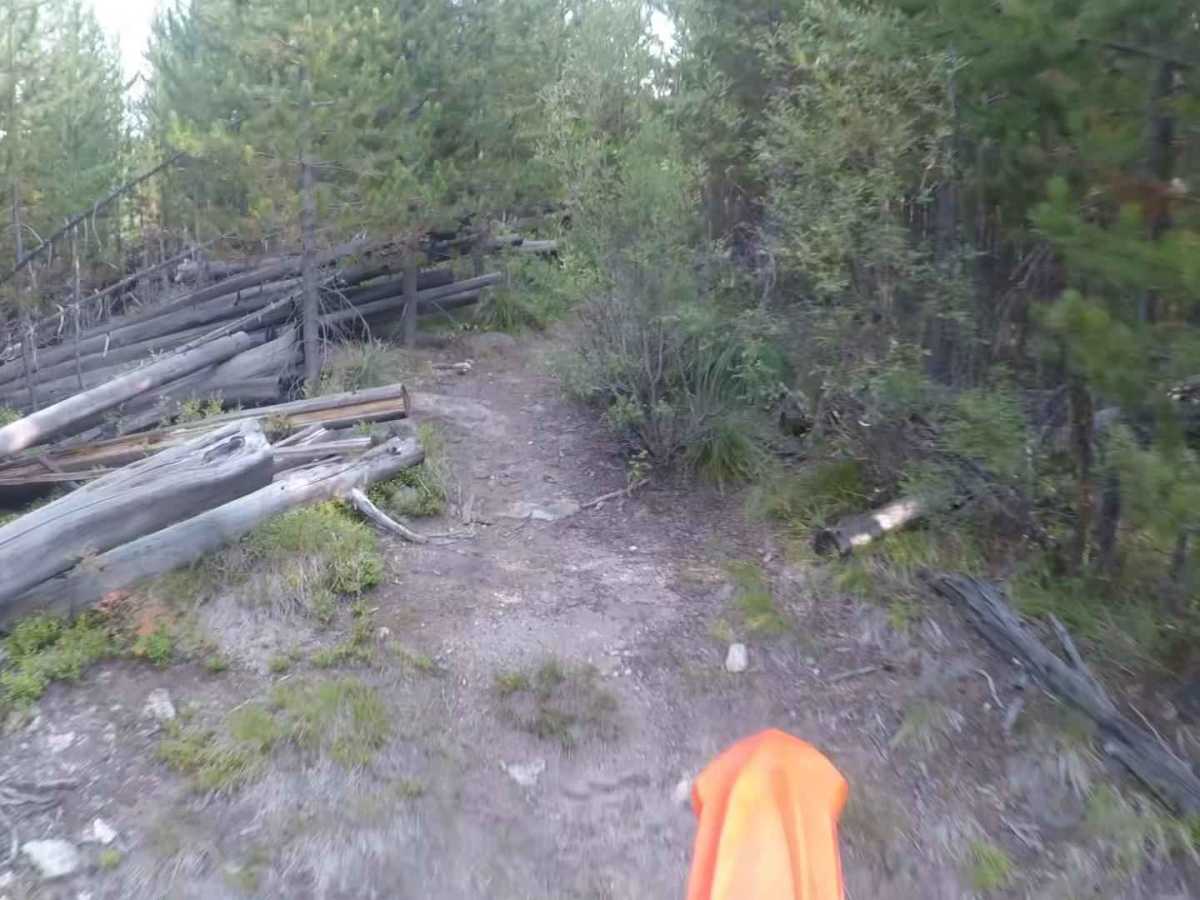 FS 504 photo 6