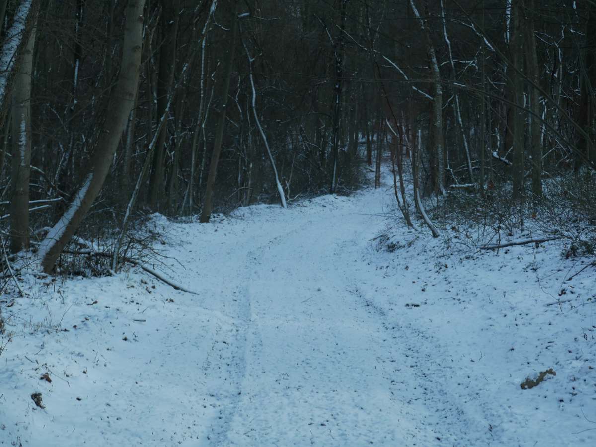 Trail 22 photo 5