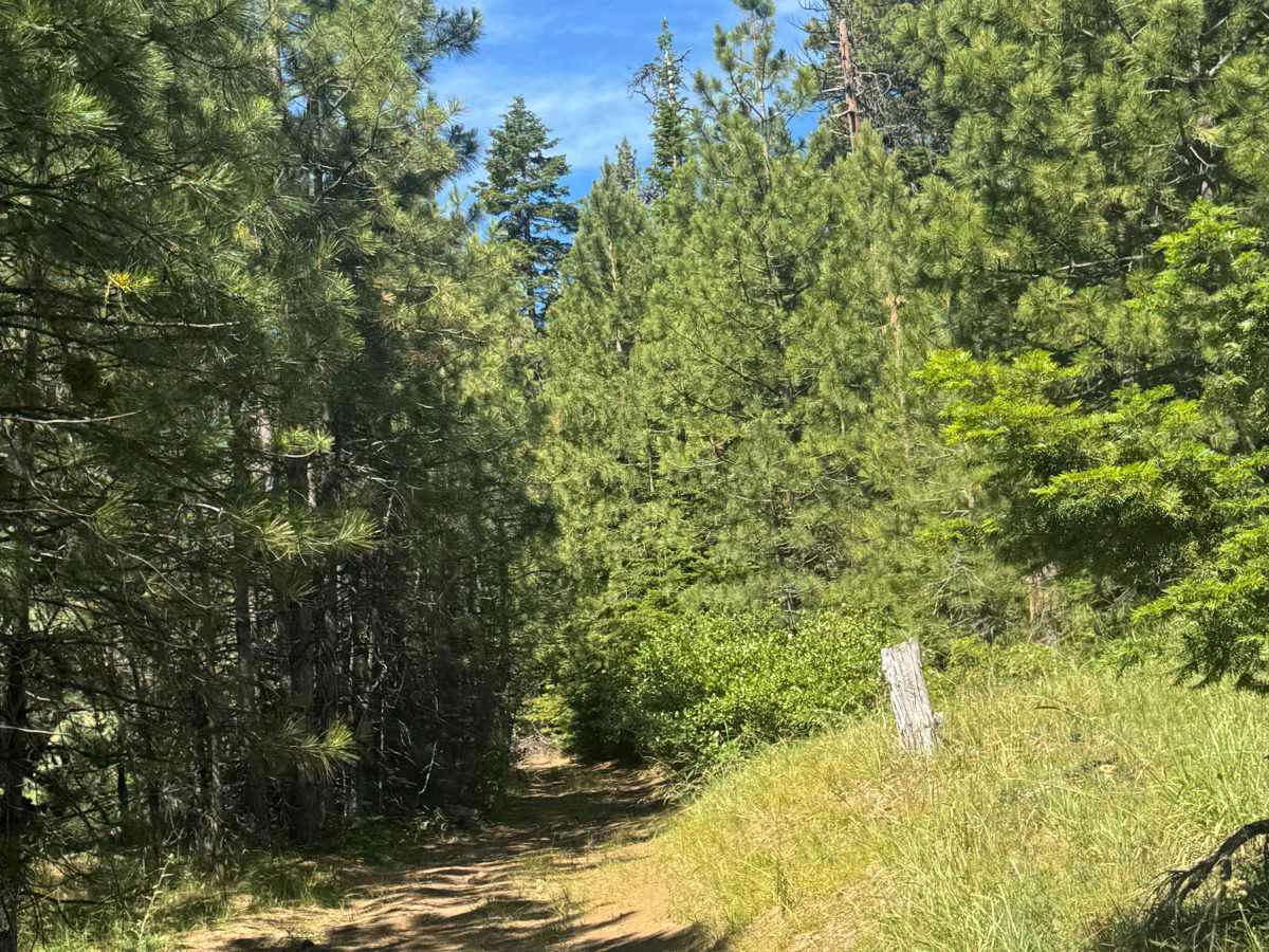 Bluegrass Butte - FS 1030-180 photo 6
