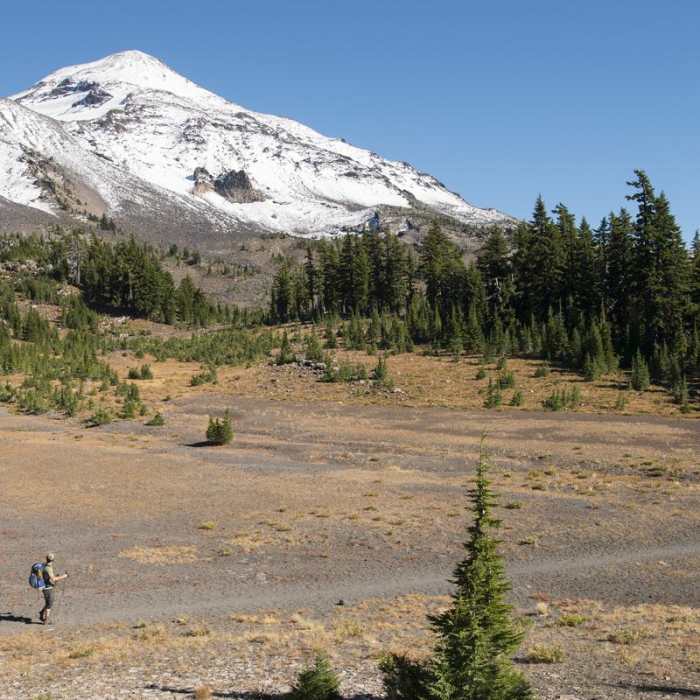Near Three Sisters Wilderness Westside Hike