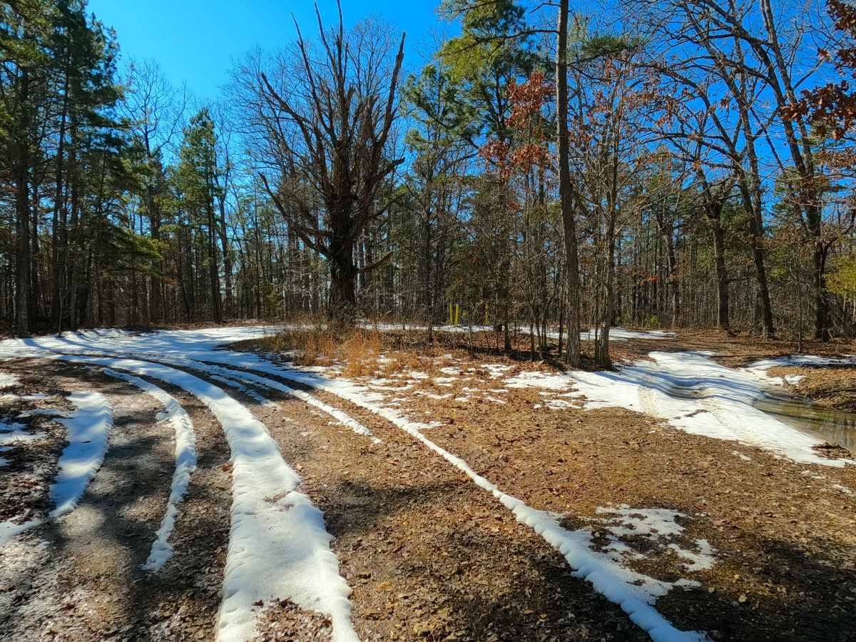 Bear Tick Ridge - FS 2459 photo 3