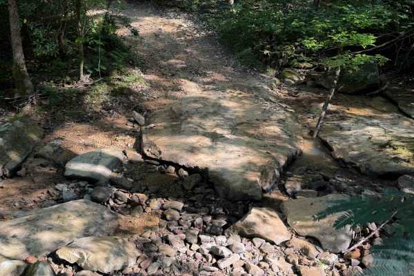 Dry Fork Trail