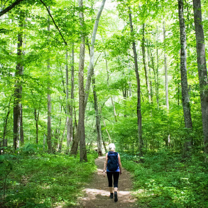 Near Oconaluftee River Trail + Mountain Farm Museum Near Oconaluftee River Trail + Mountain Farm Museum
