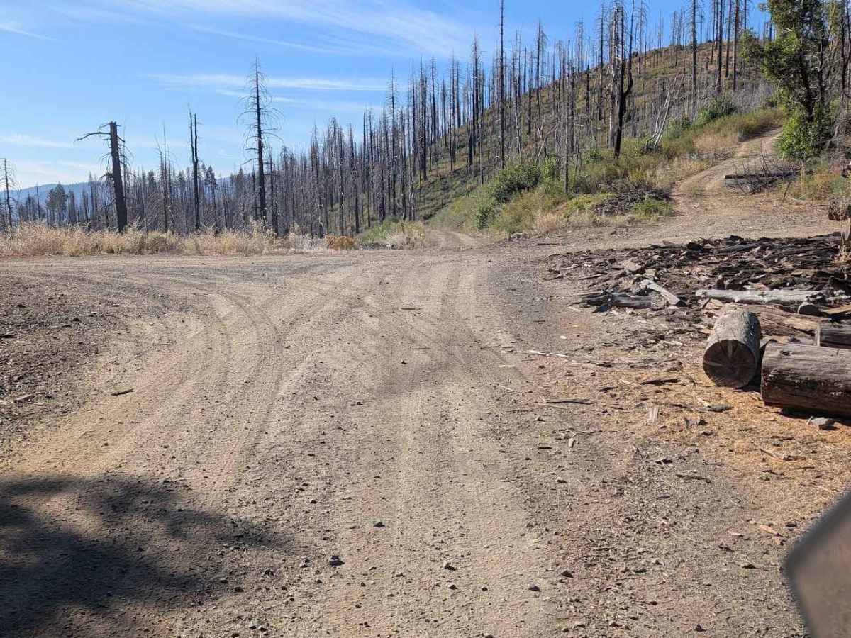 Baker Flat Road - FS 29N41 photo 3