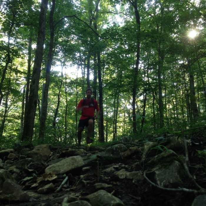 Near McCoy Hollow Trail