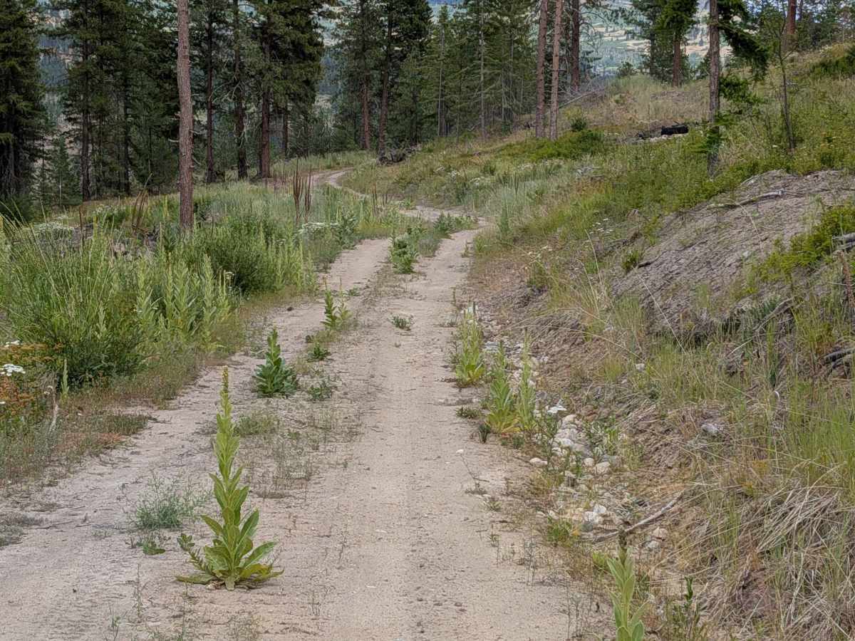 E332411T photo 5