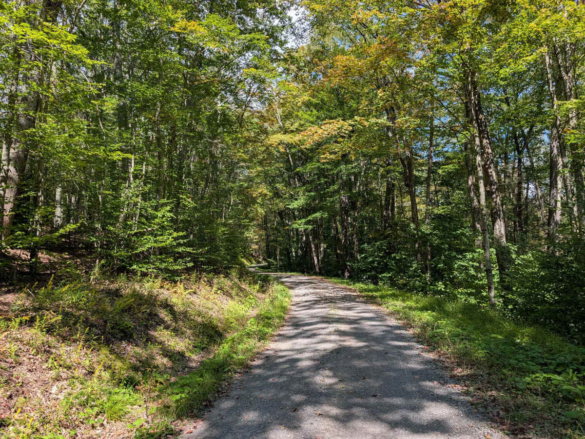 Owl Knob Hollow Connector photo 5
