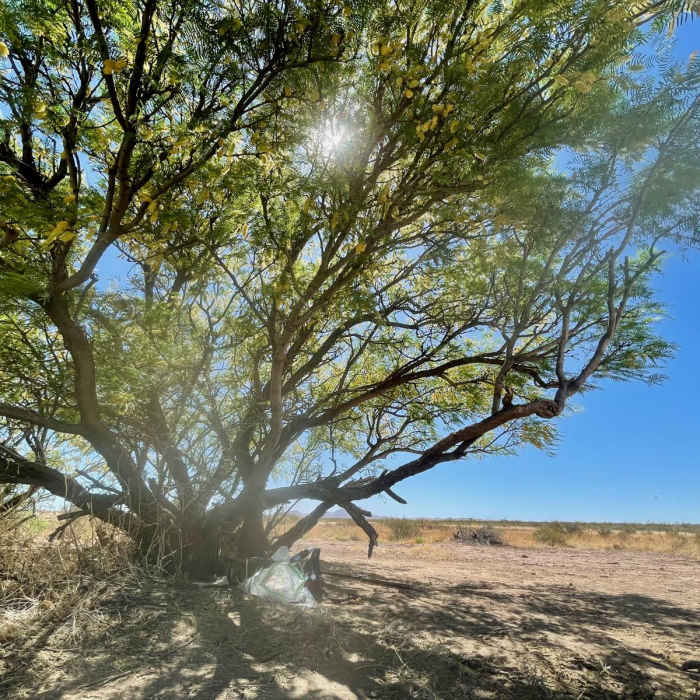 Near Continental Divide Trail : New Mexico Section 4