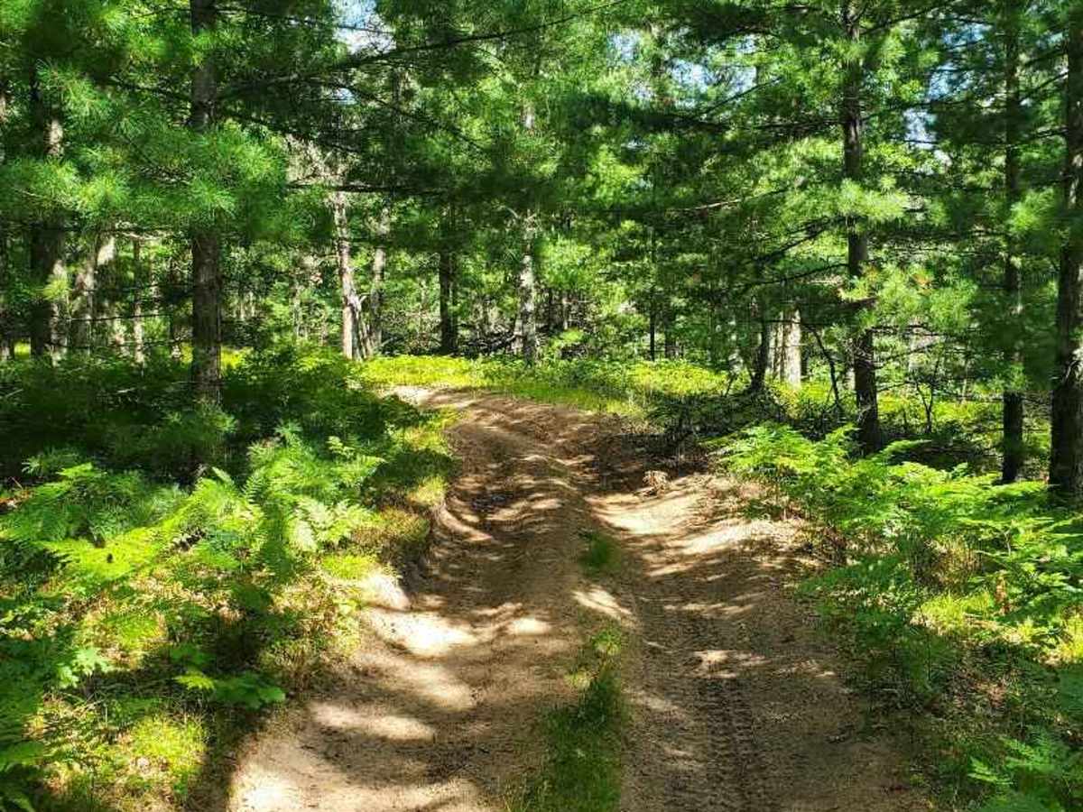 Inner Dogman Trail photo 6