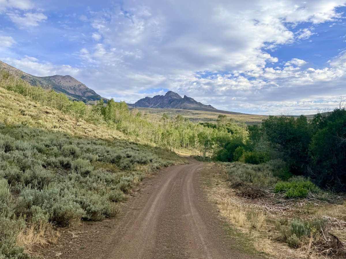  Jack Creek North Fork - FS 56473 trail photo