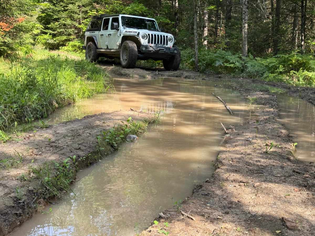 Frog Trail photo 3