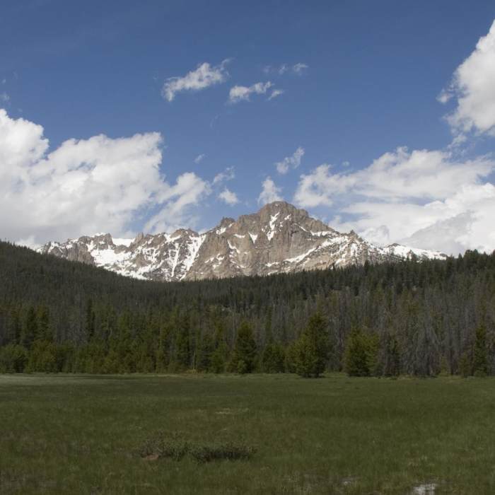 Near Bull Moose Creek