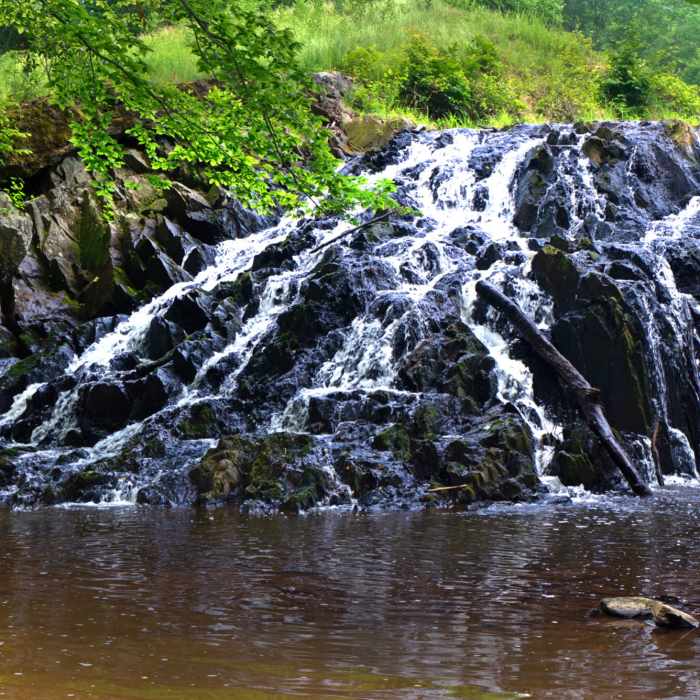 Near Pyrite Mine Loop