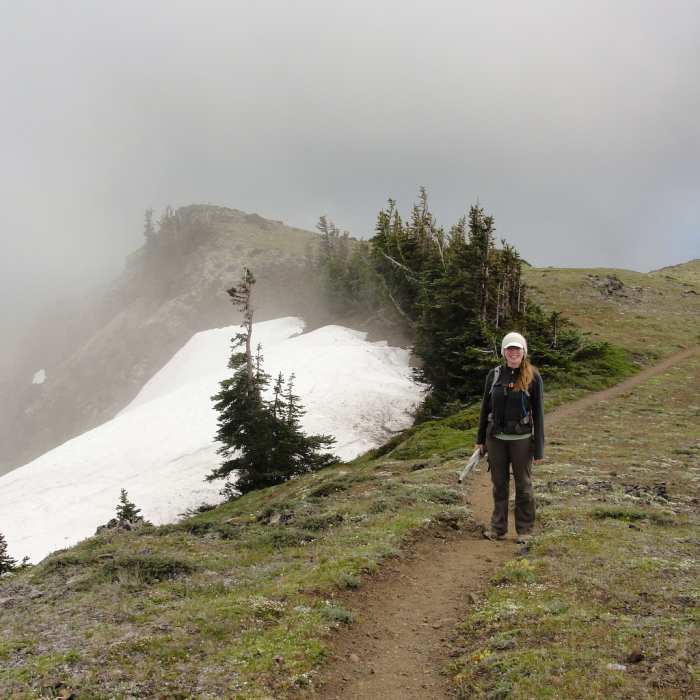 Near Mt. Townsend Trail #839