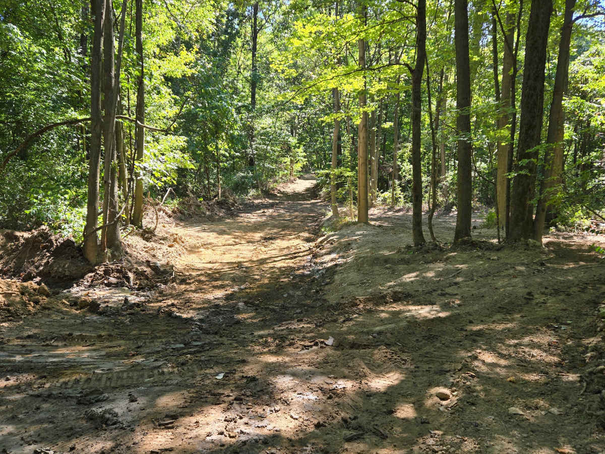 Trail 50  photo 4