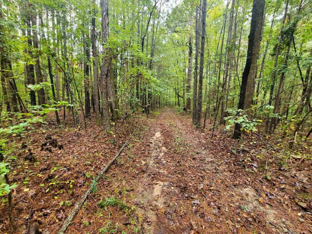 Redlands WMA photo 6