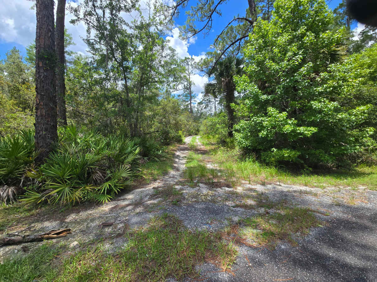 Lake Charles Way trail photo
