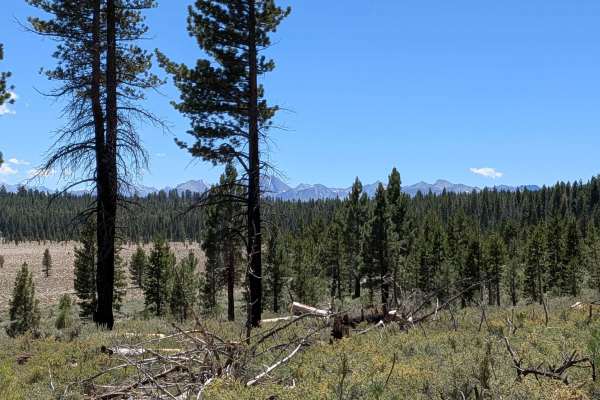 Forest Service Road 2S123