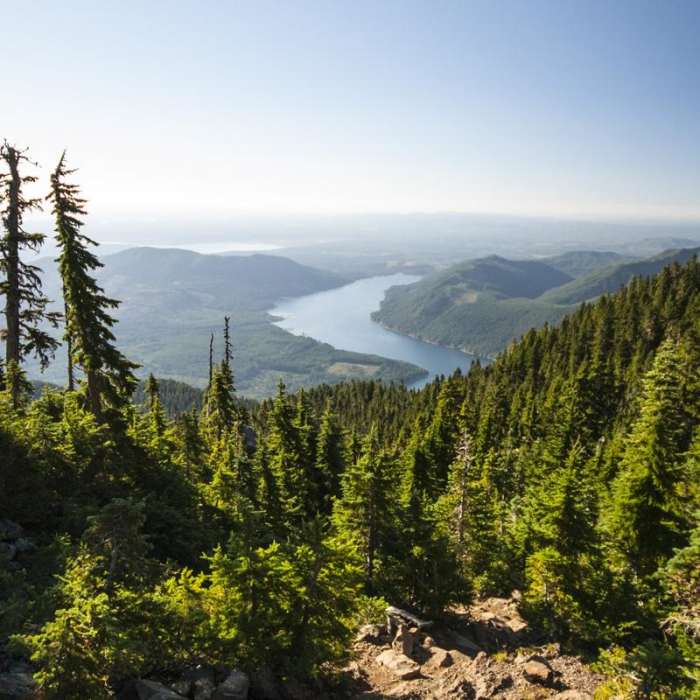 Near Mount Ellinor via Upper Trailhead