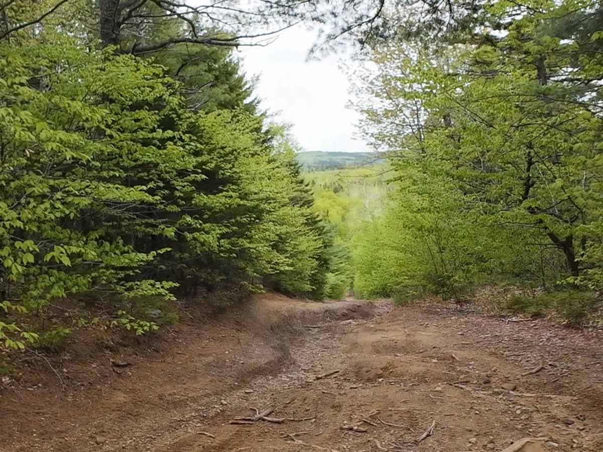 Prosser Brook Lookout photo 4