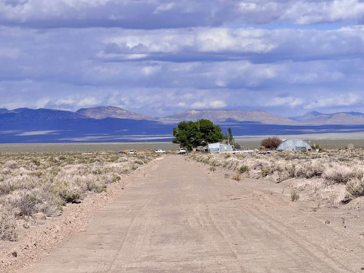 Dicks Road photo 4
