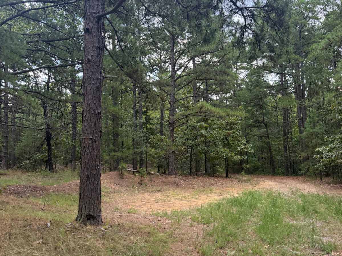 Maumelle photo 6