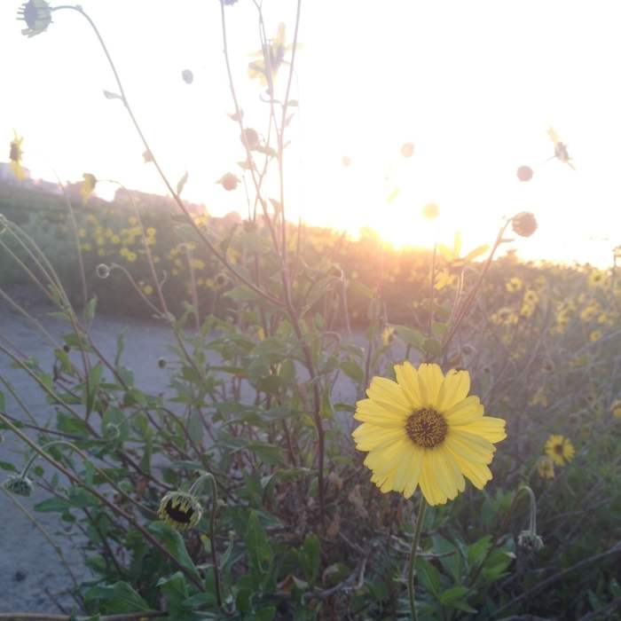 Near Tijuana River National Estuary & Coastline