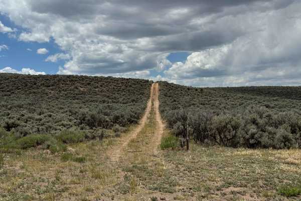BLM 8473C