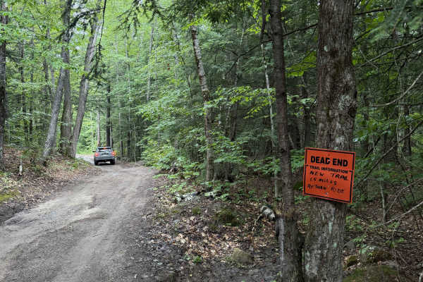 Dummer Road
