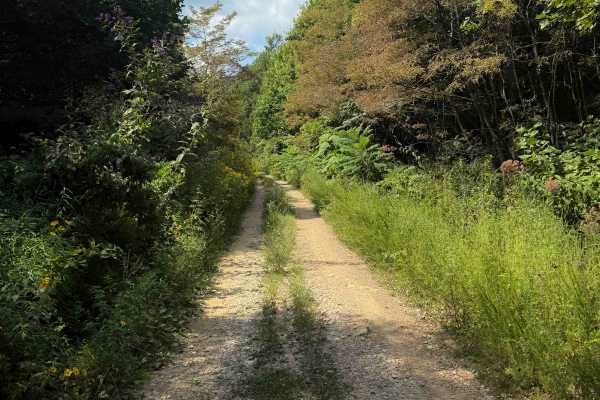Gibson Knob Road