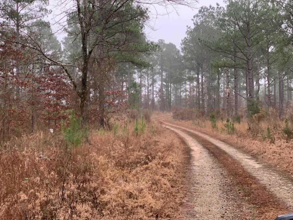 Hidden Camp Trail trail photo