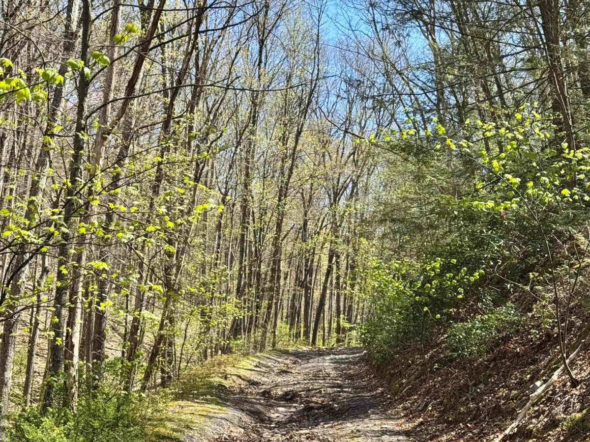 Stillhouse Hollow Rd photo 5