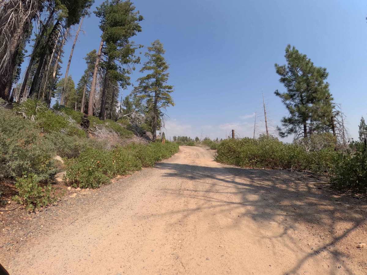 Dobler Meadow - FS 4S031 photo 6