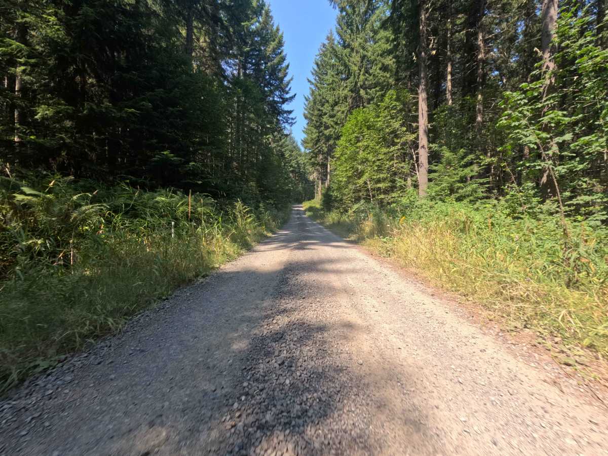 Gifford Pinchot - W1000 photo 3