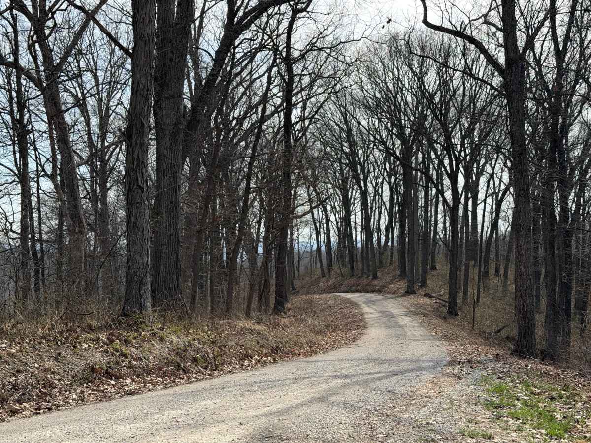 ODNR #4 trail photo