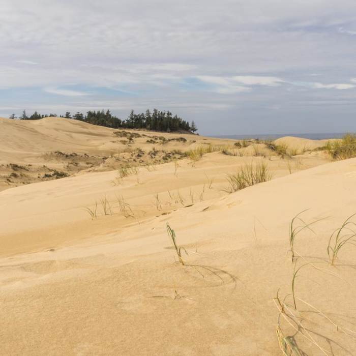 Near Hall + Shuttpelz Lake Trail