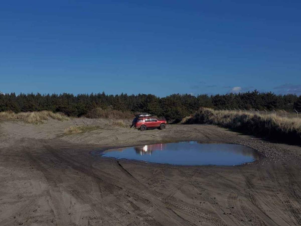 Delaura Dune Trail photo 2