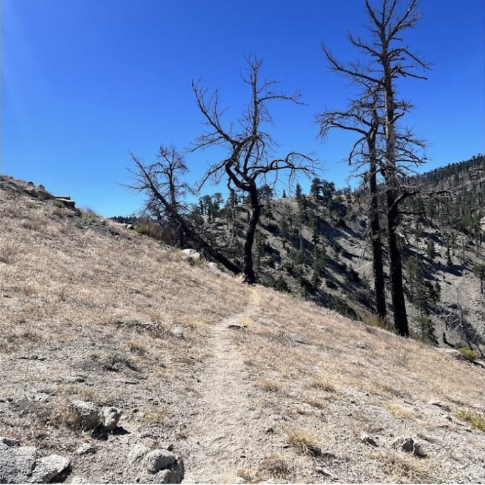 Near Winston Peak and Winston Ridge Loop