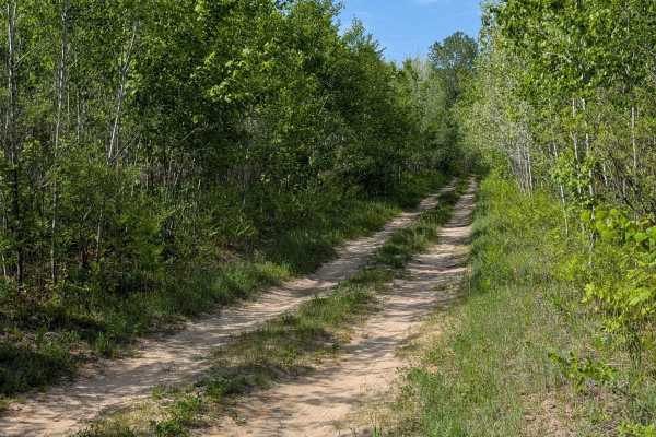 Trophy Acres Hunters Trail