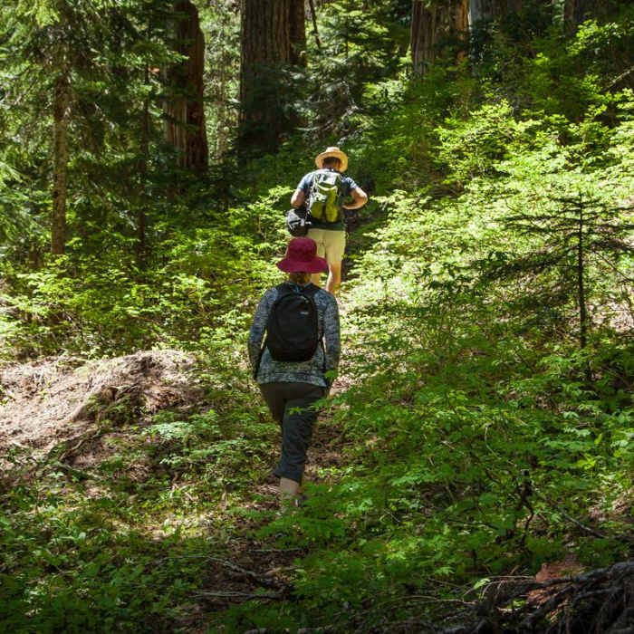 Near Whetstone Mountain Hike