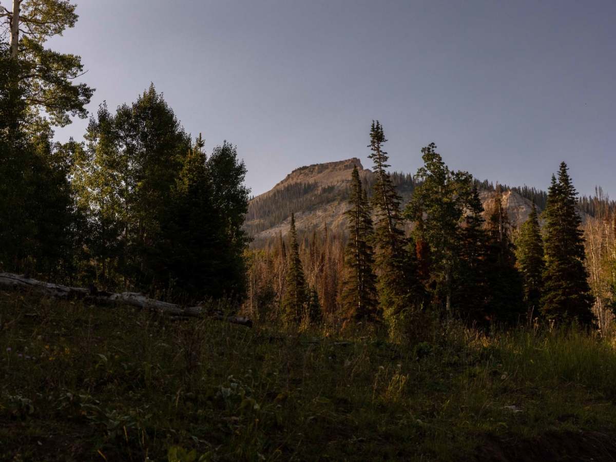 Beaver Creek Road photo 6