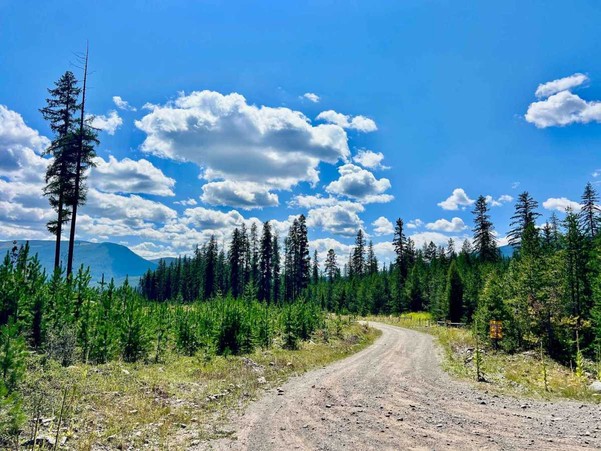 South Baker trail photo