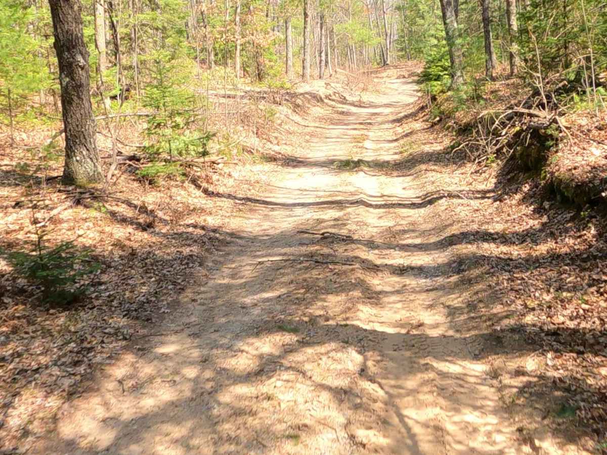 Cline - FS 4078 trail photo