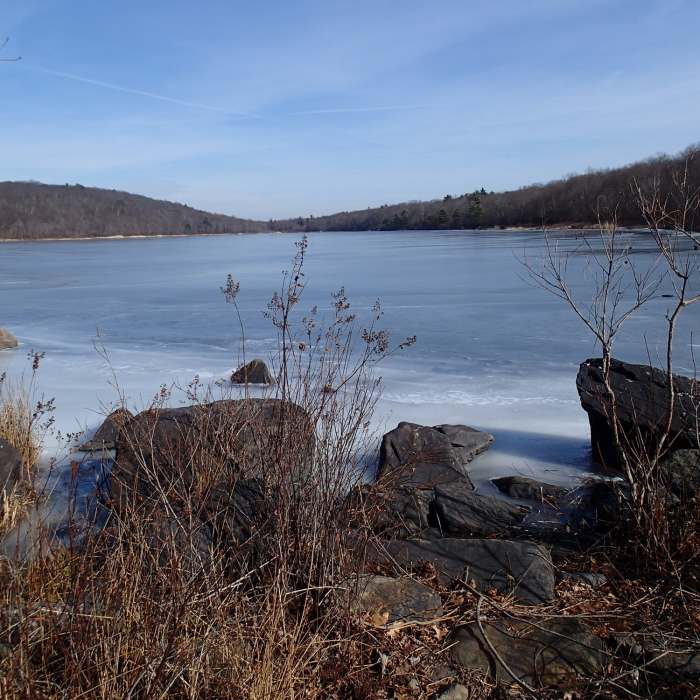 Hank's Pond Near Loop around Hank's Pond and beyond Stephens Road