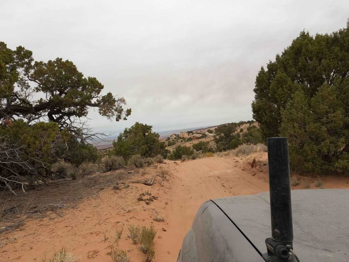 NM-1323 photo 2